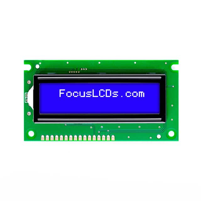 Focus LCDs C162B-BW-LW65
