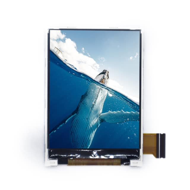 Focus LCDs E24RA-FW420-N