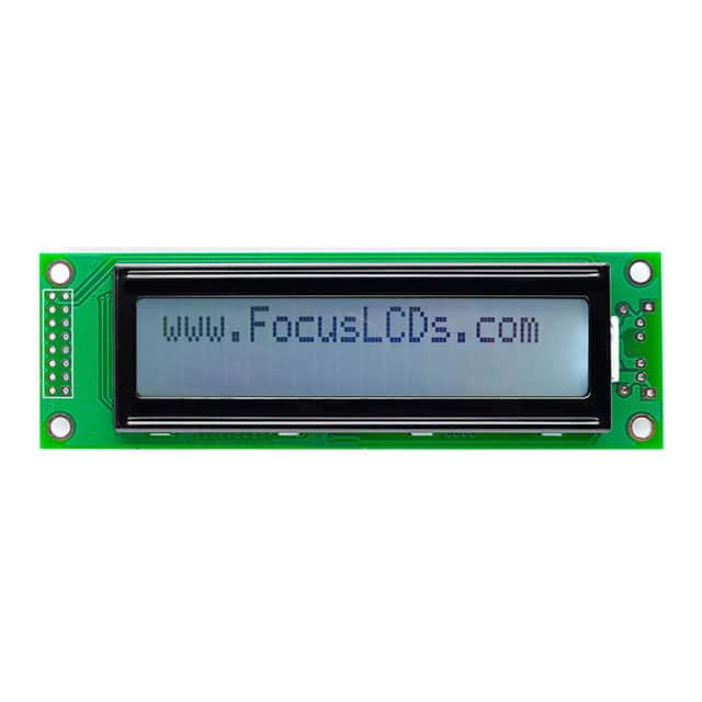 Focus LCDs C202B-FTW-LW65