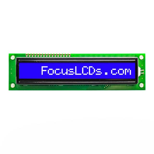 Focus LCDs C161B-BW-LW65
