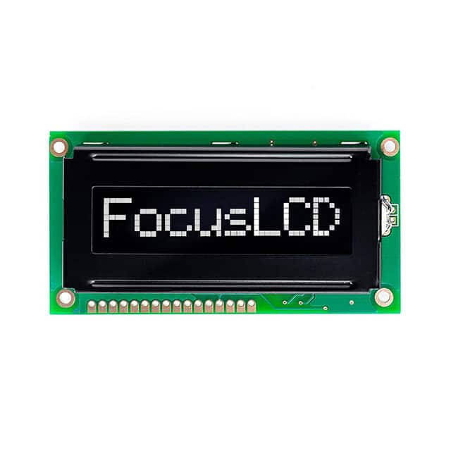 Focus LCDs C81CLBFKSW6WN33XAB