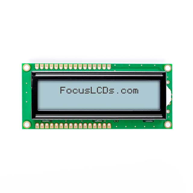 Focus LCDs C162A-FTW-LW65