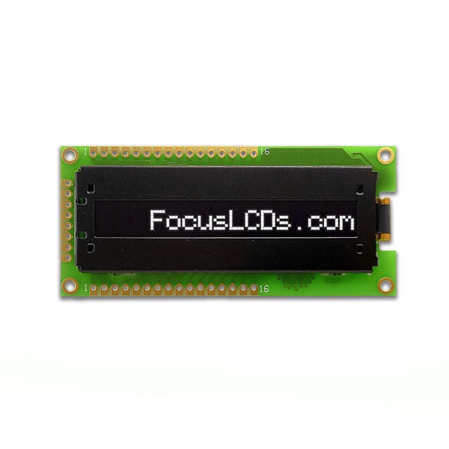 Focus LCDs O161A-CW-SS5
