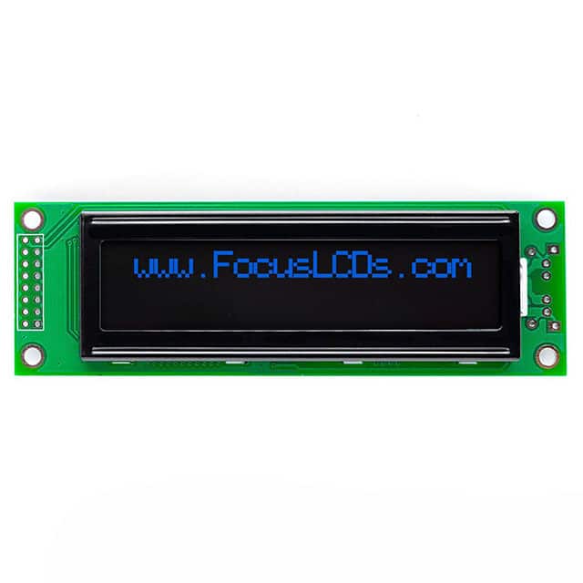Focus LCDs C202B-KB-LW65