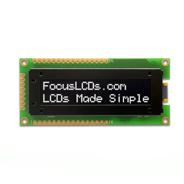 Focus LCDs O162B-CW-SS5