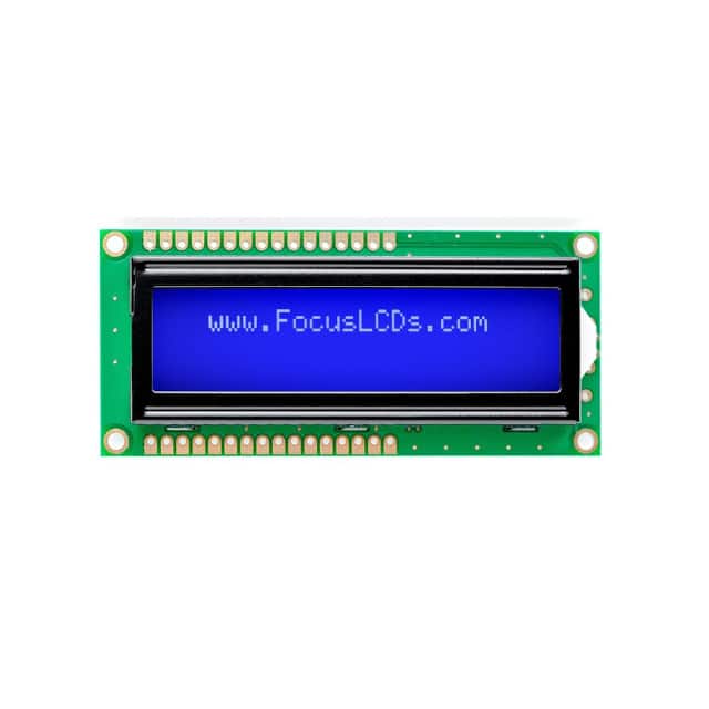 Focus LCDs C162A-BW-LW65