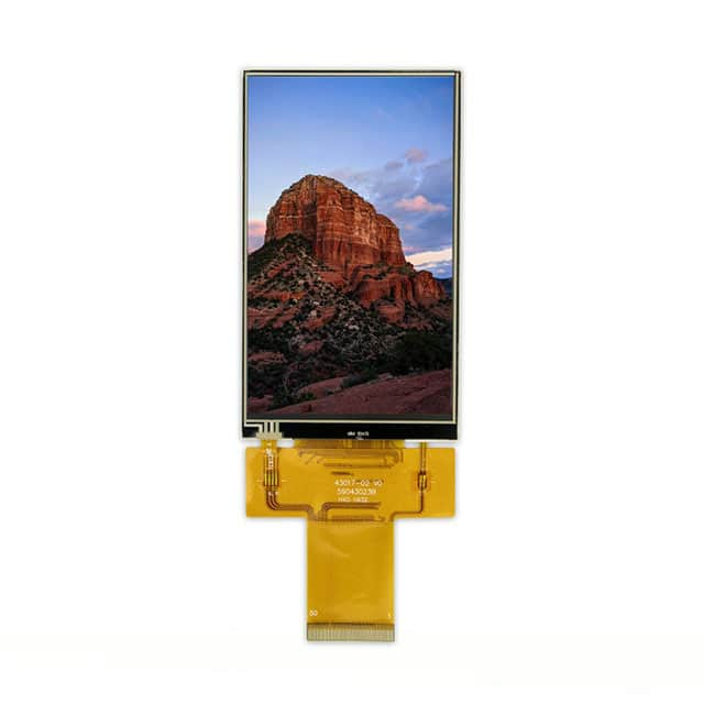 Focus LCDs E43RG54880LWAM400-R