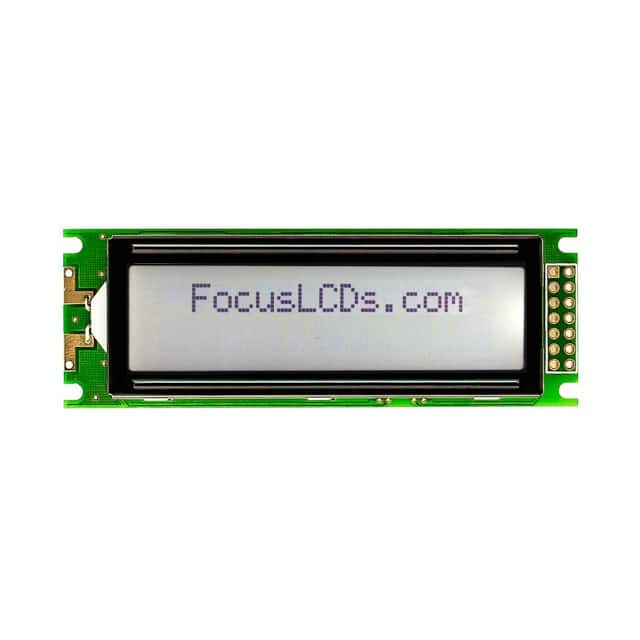 Focus LCDs C162C-FTW-LW65