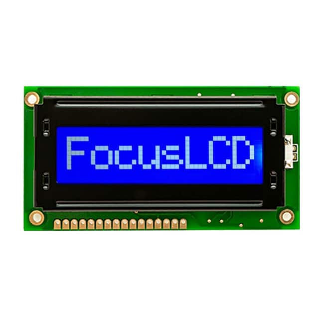 Focus LCDs C81A-BW-LW65