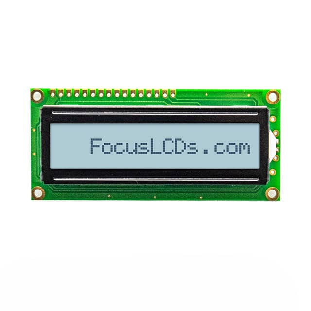 Focus LCDs C161A-FTW-LW65