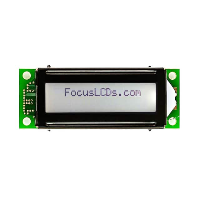 Focus LCDs C162E-FTW-LW65