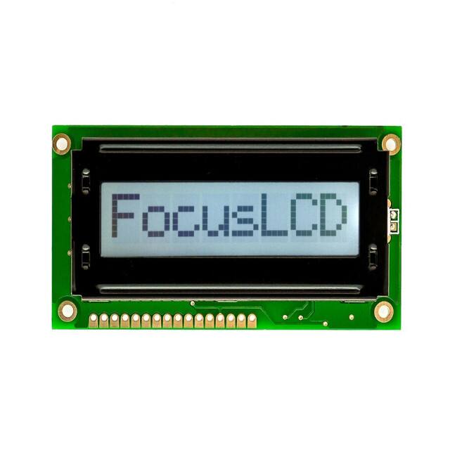 Focus LCDs C81A-FTW-LW65
