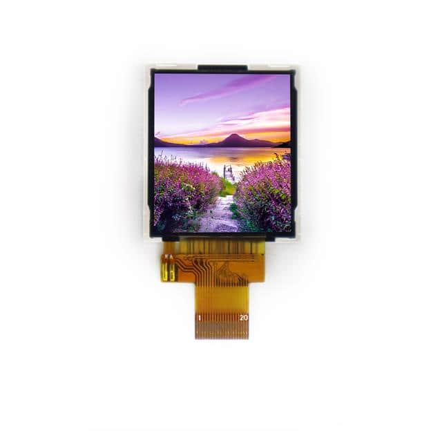 Focus LCDs E144GC-CW230-N