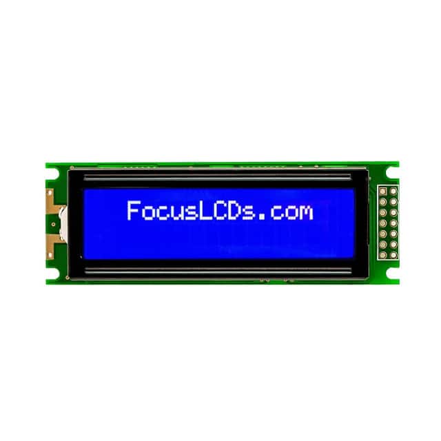 Focus LCDs C162C-BW-LW65