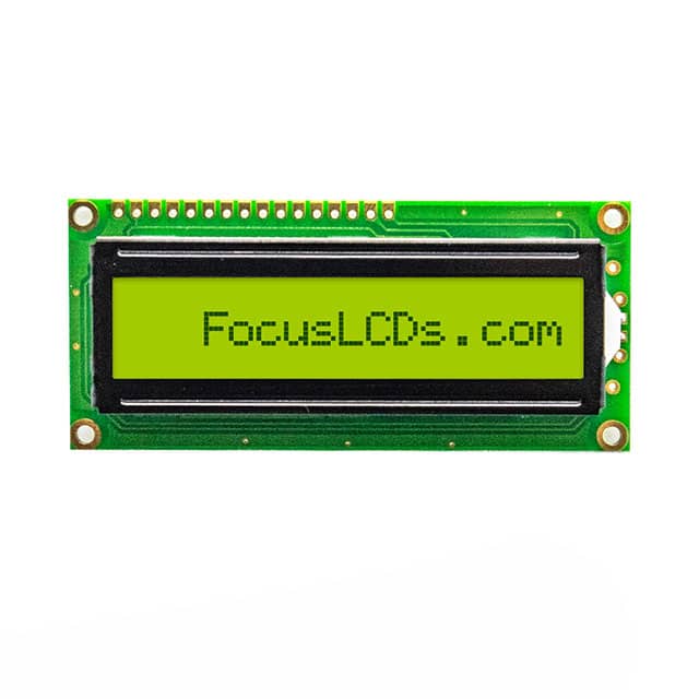 Focus LCDs C161A-YTY-LW65