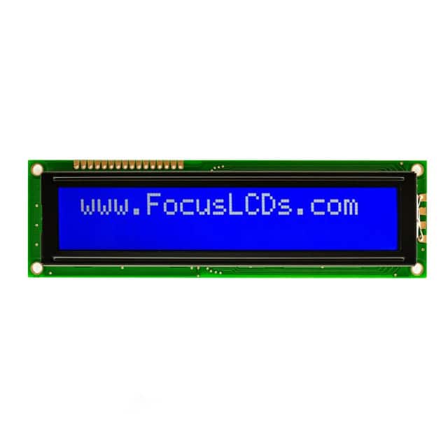 Focus LCDs C202C-BW-LW65