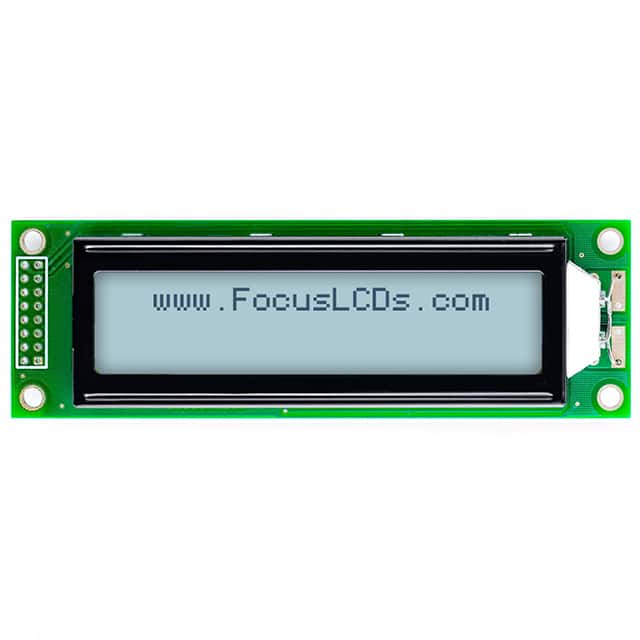 Focus LCDs C202A-FTW-LW65
