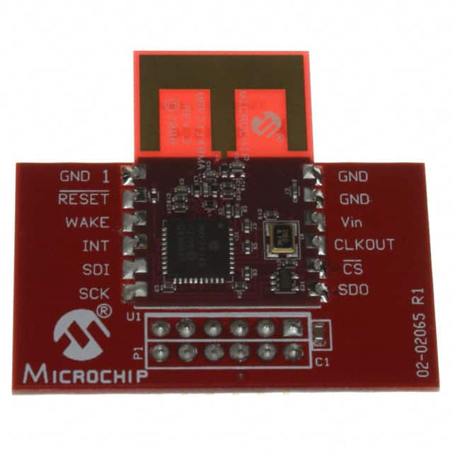 Microchip Technology AC163028