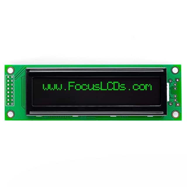 Focus LCDs C202B-KG-LW65