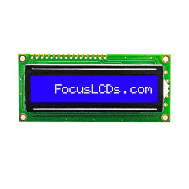 Focus LCDs C161A-BW-LW65