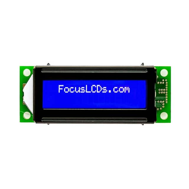 Focus LCDs C162E-BW-LW65