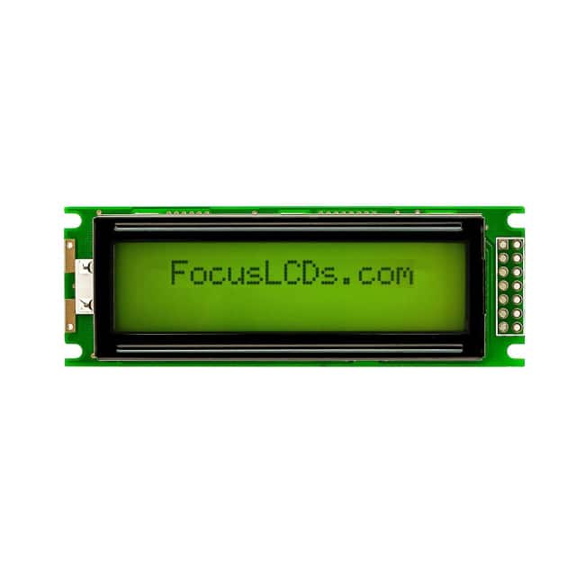 Focus LCDs C162C-YTY-LW65
