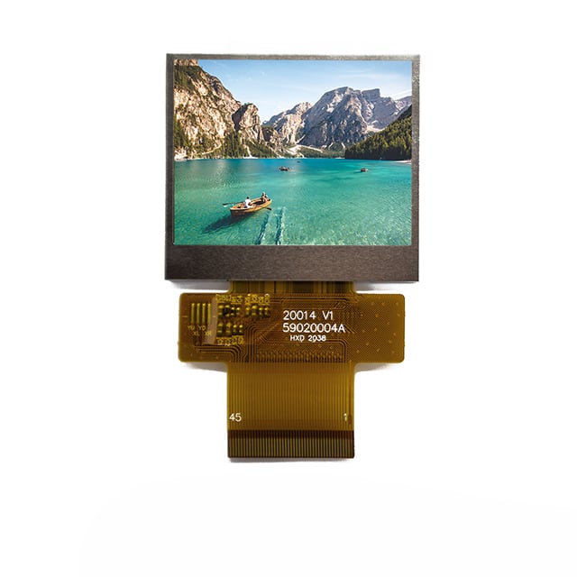 Focus LCDs E20RA-FW600-N