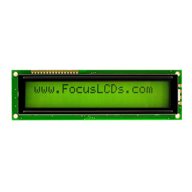 Focus LCDs C202C-YTY-LW65