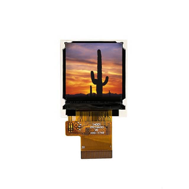 Focus LCDs E144RG11212LW6M250-N